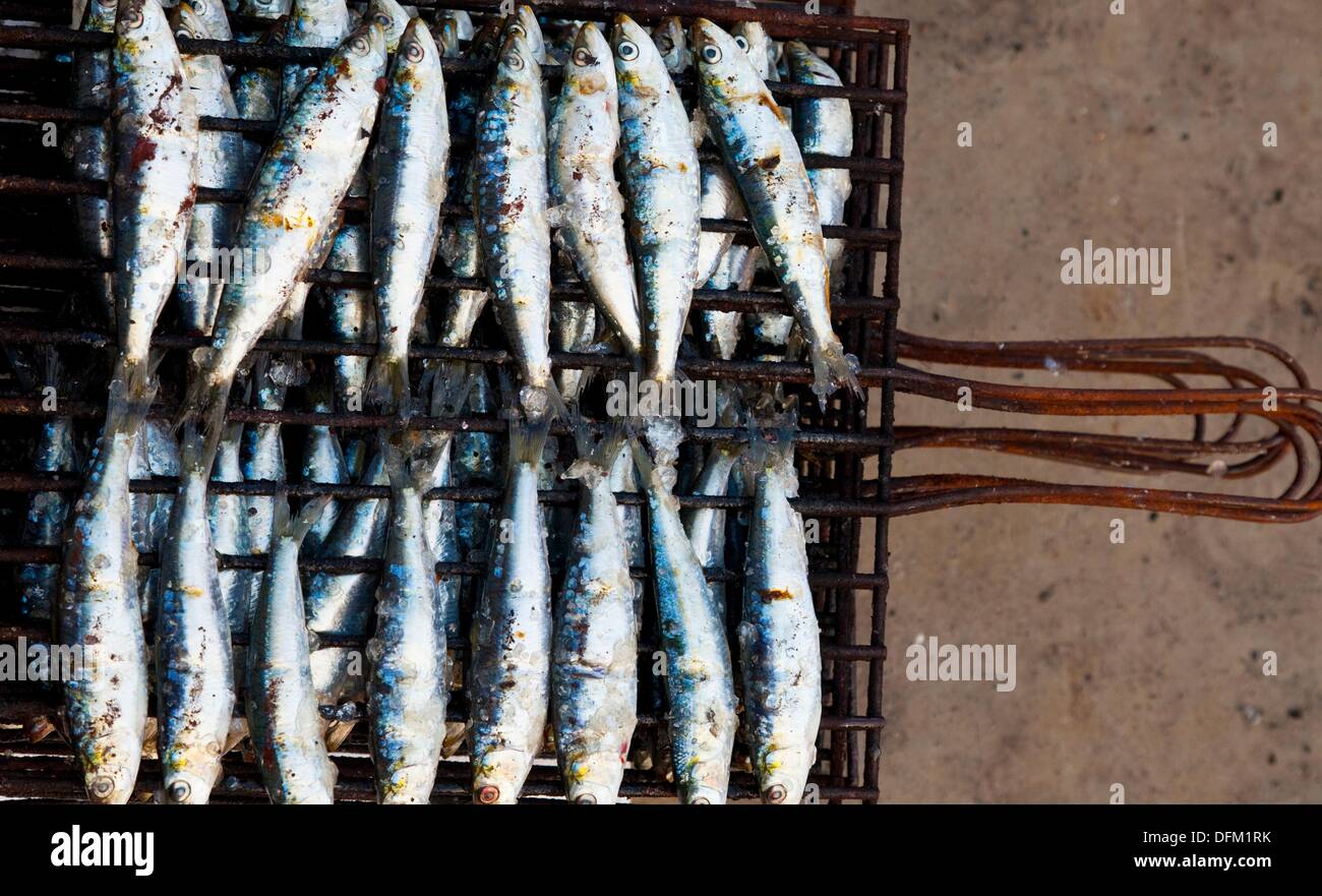 Grilled sardines in the Festival of Santoña, Cantabria, Spain Stock Photo Alamy
