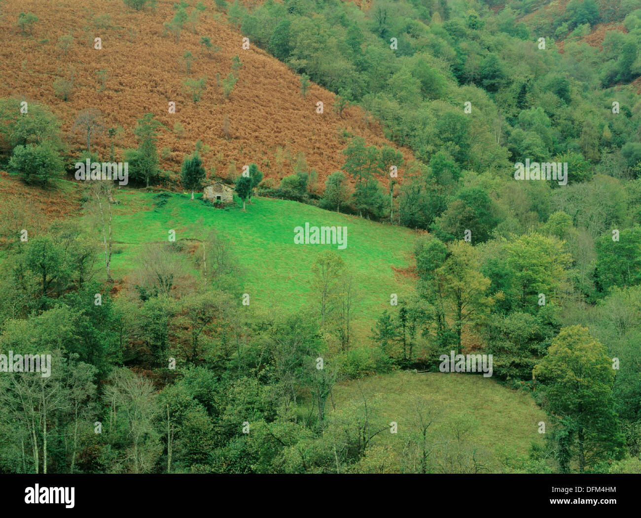 Ponga spain hires stock photography and images Alamy