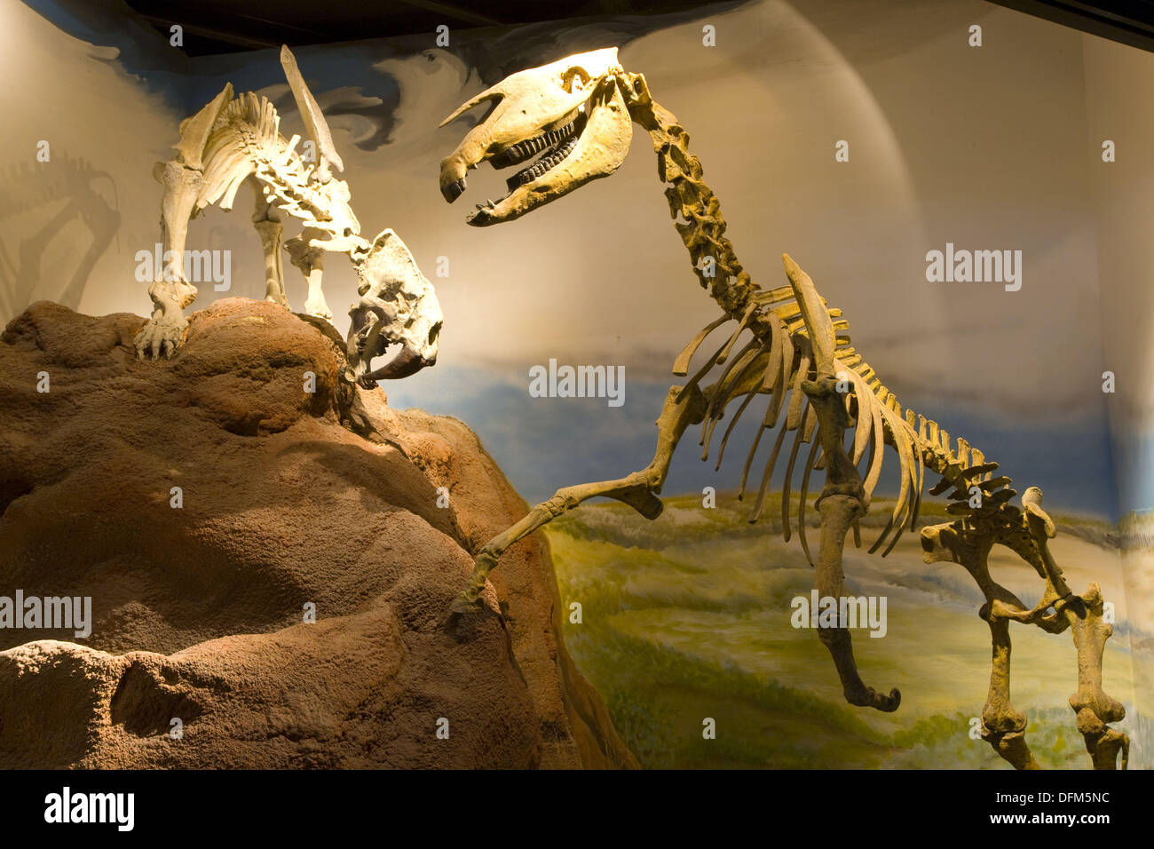 Egidio Feruglio Museum of Paleontology, Trelew, Patagonia, Argentina