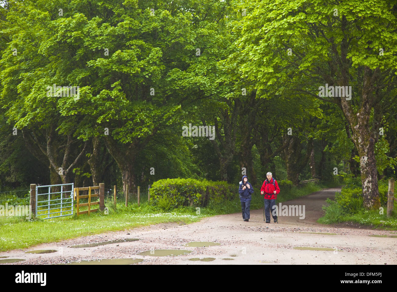 Kinloch Castle gardens, Rum island National Nature Reserve, Small Isles