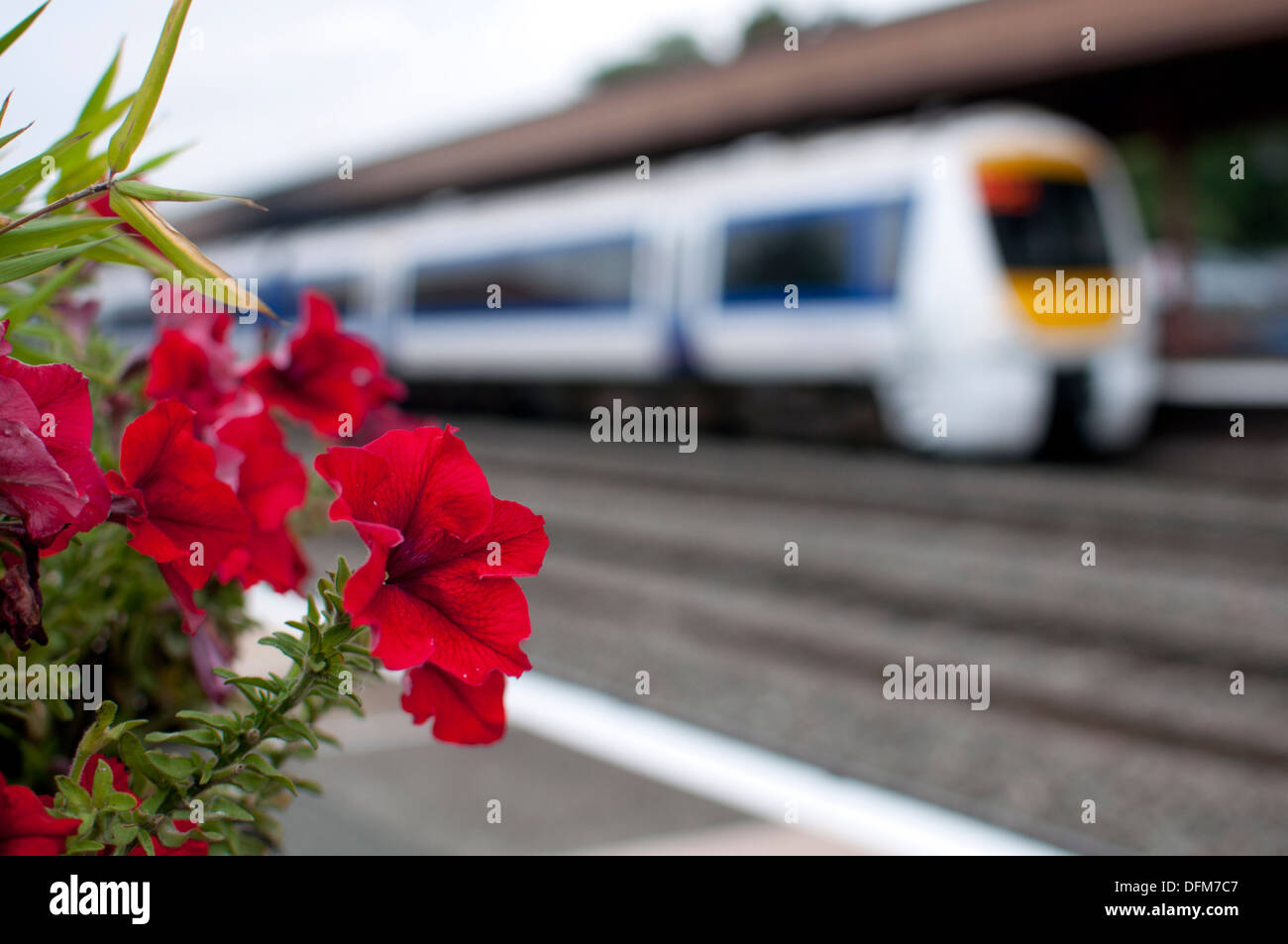 Train station flowers hires stock photography and images Alamy