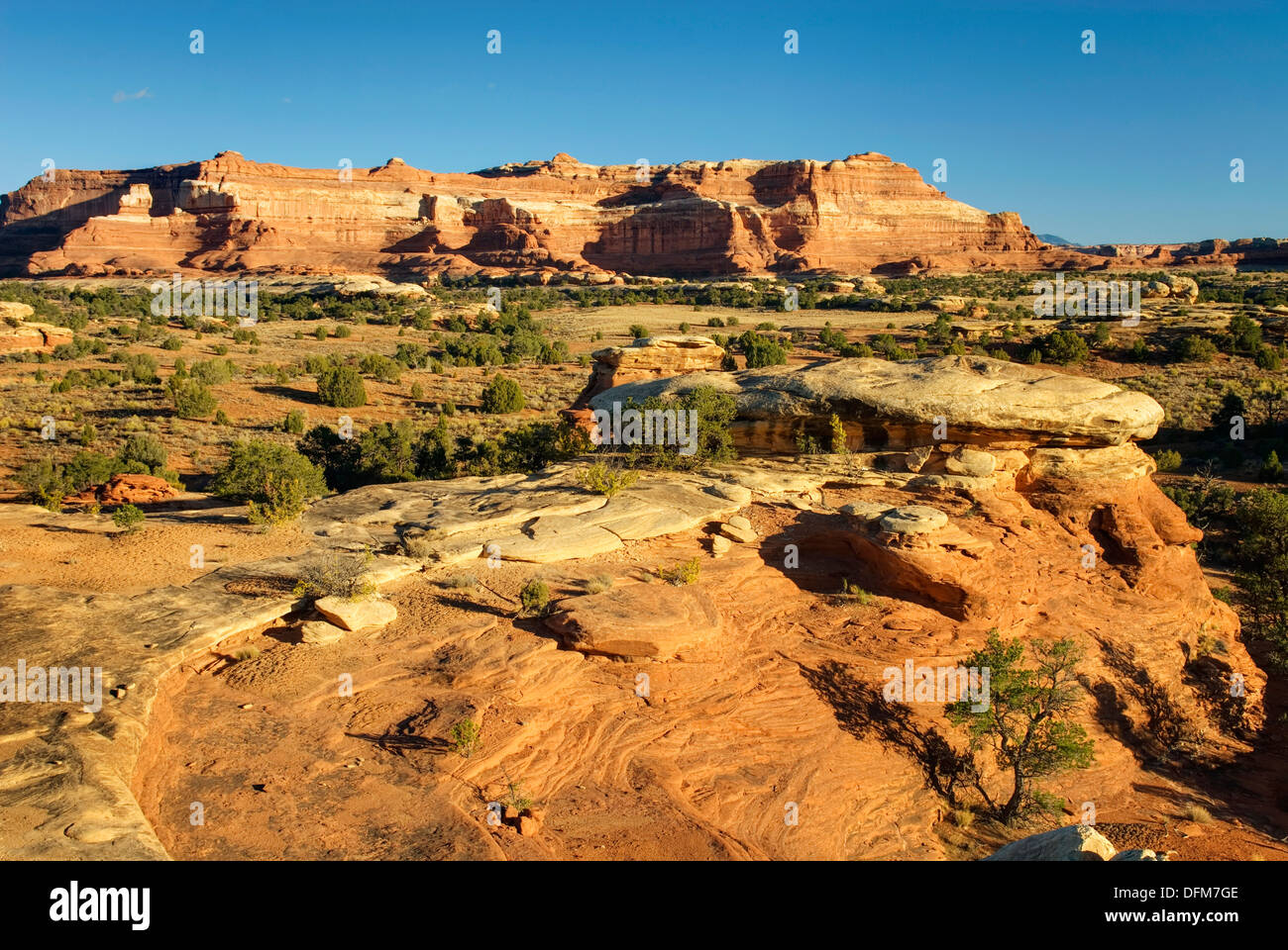 Slickrock in Squaw Flats, Canyonlands National Park Utah USA Stock ...