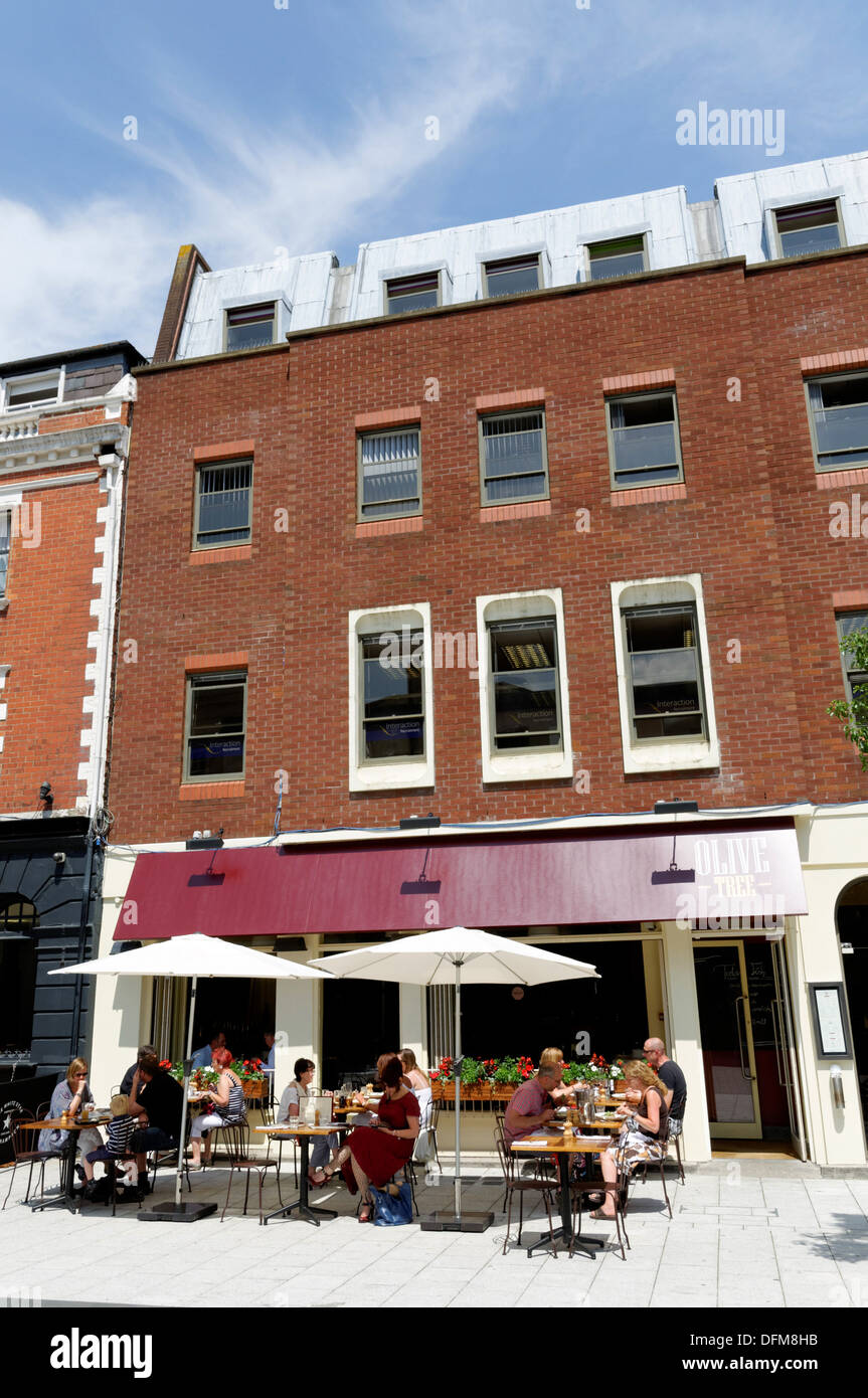 Olive Tree Restaurant Logo