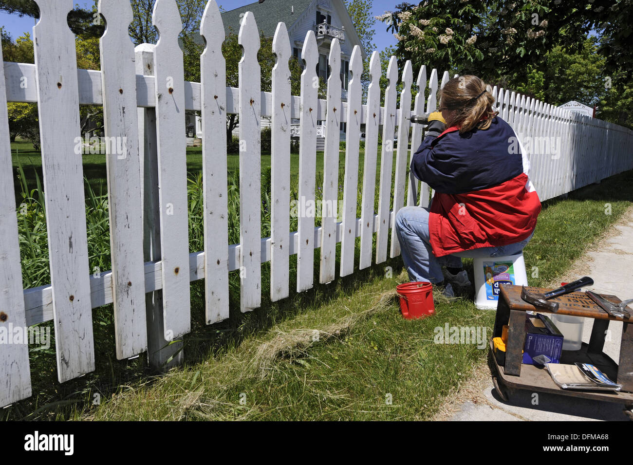 Female repairing a white picket fence Stock Photo Alamy