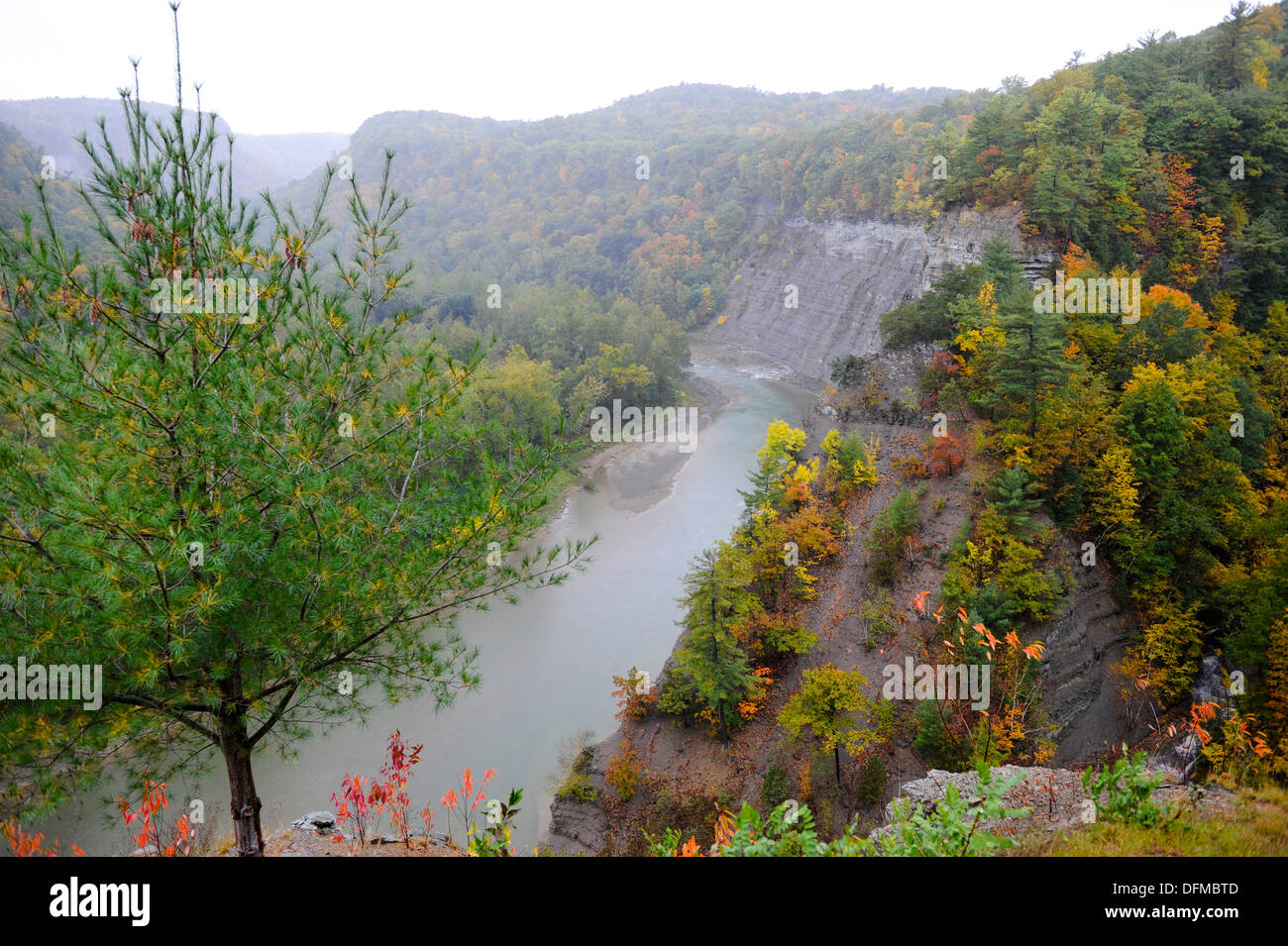 Letchworth State Park Western New York Wolf Creek Area Stock Photo