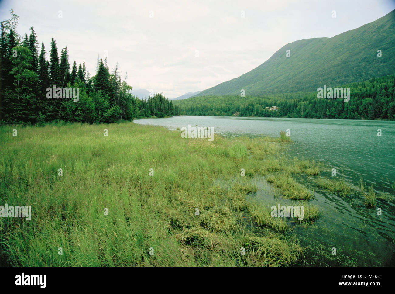 Kenai river near Cooper landing. Alaska. USA Stock Photo Alamy