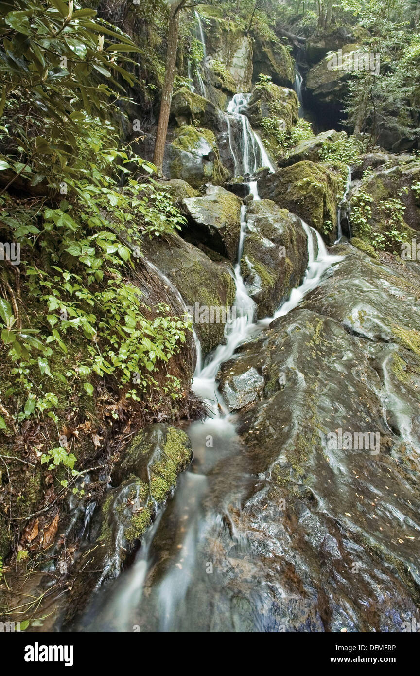Place of a Thousand Drips, Cliff Branch Falls, Great Smoky Mtns
