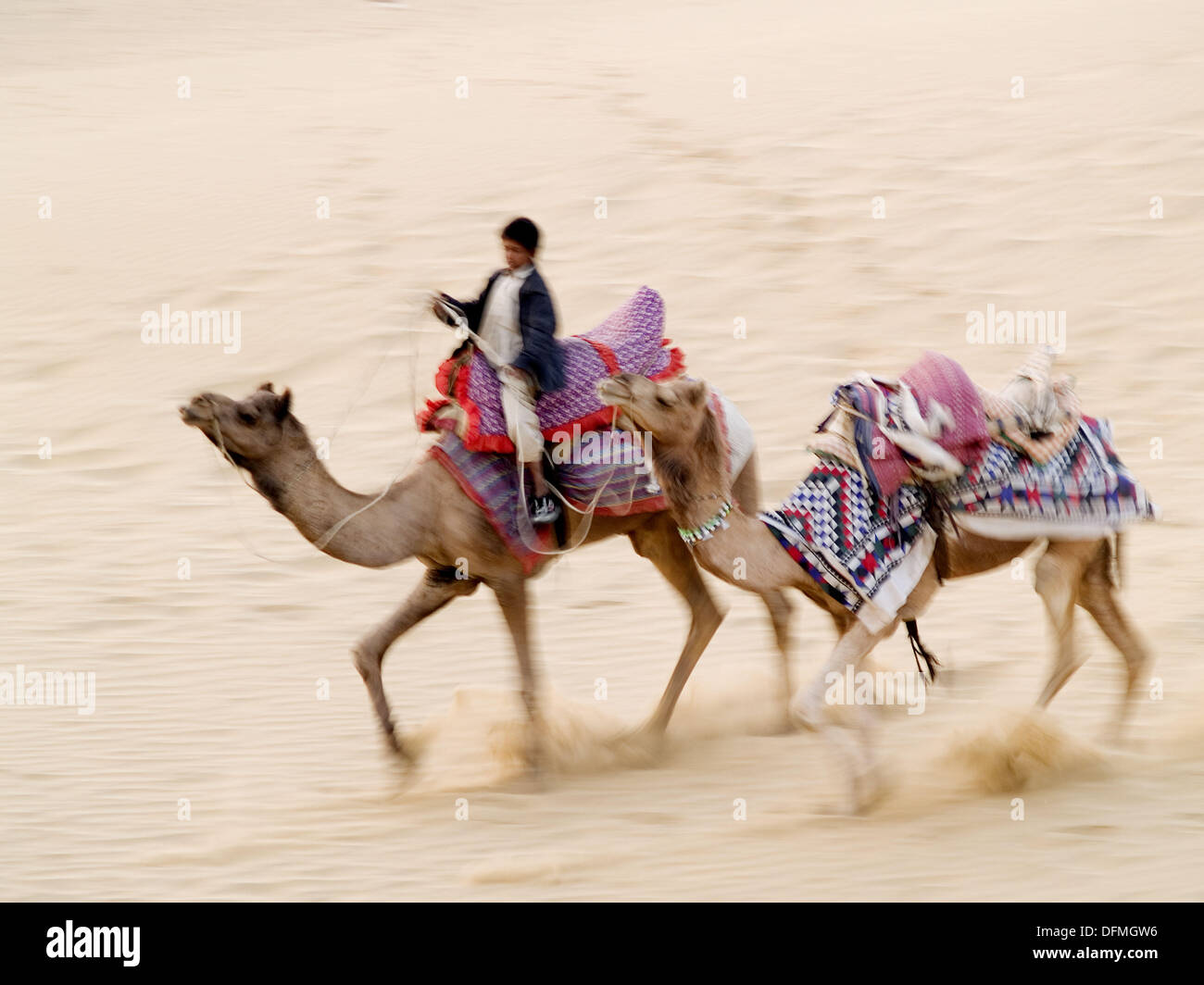 Child on camel hi-res stock photography and images - Alamy