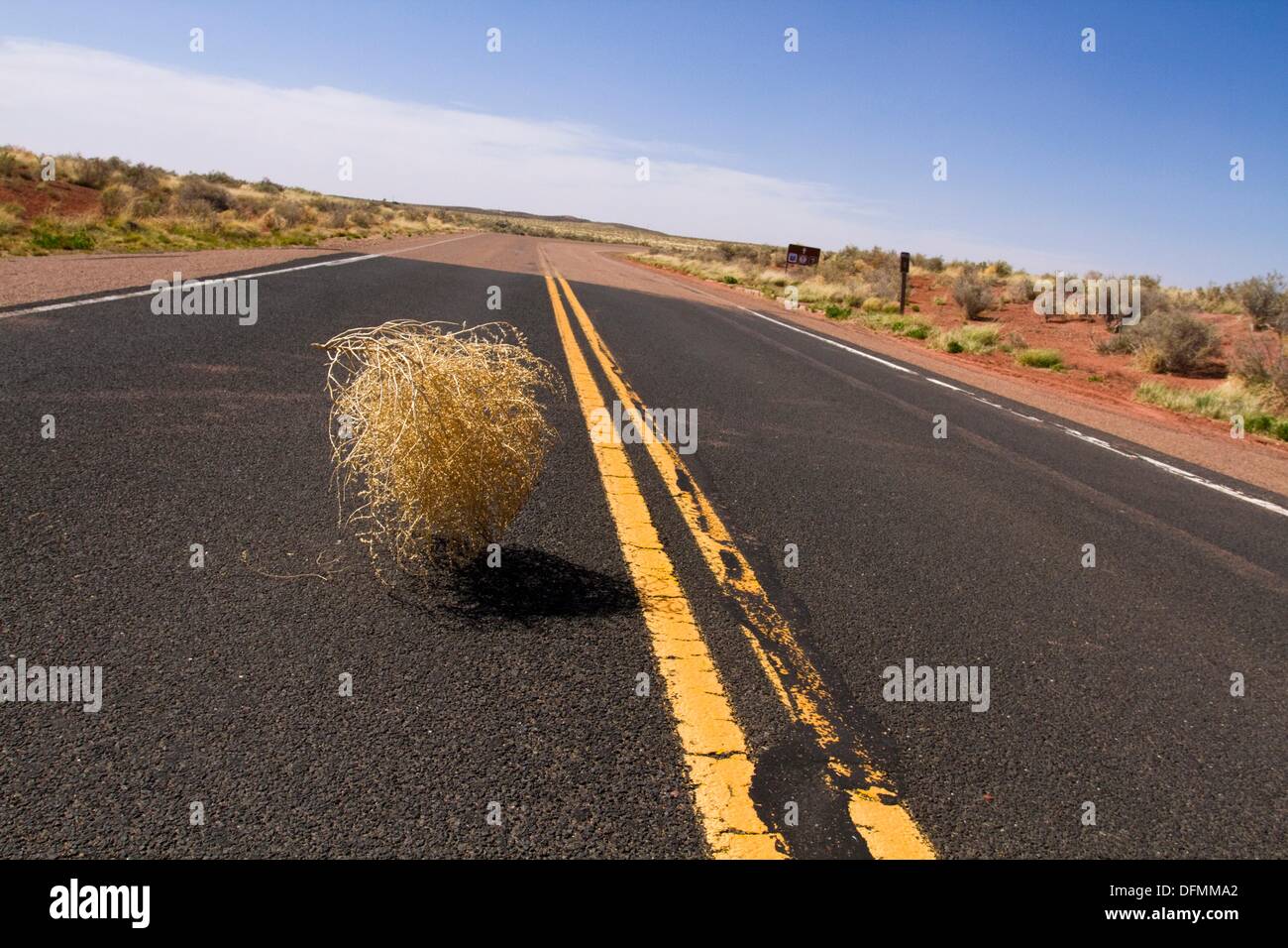 Tumbleweed blowing across highway, Arizona, USA Stock Photo Alamy