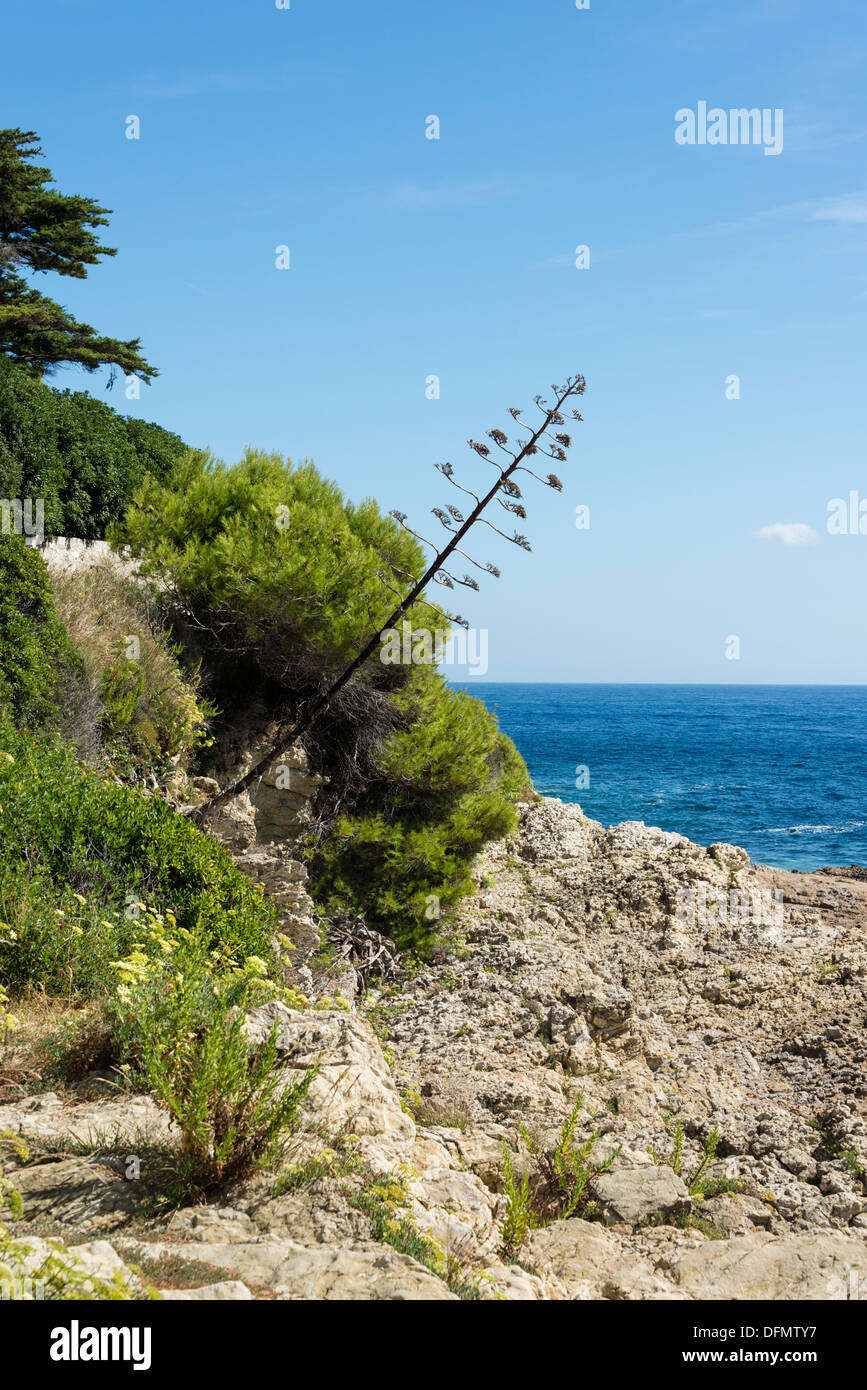 Coastal view from Promenade des Fossettes on Point du Colombier Stock Photo