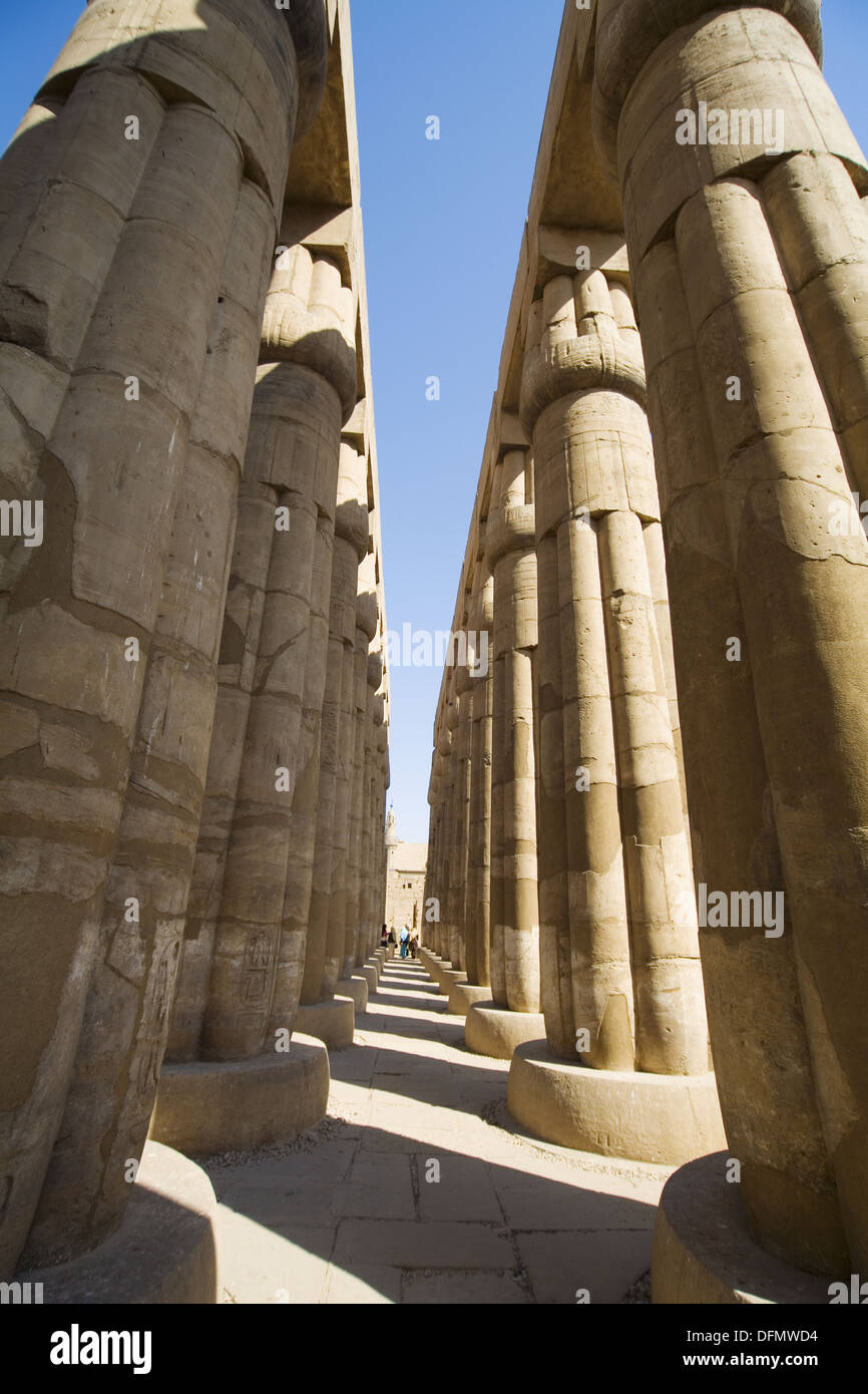 Columns. Temple of Luxor (ancient egyptian city of Thebes). Luxor