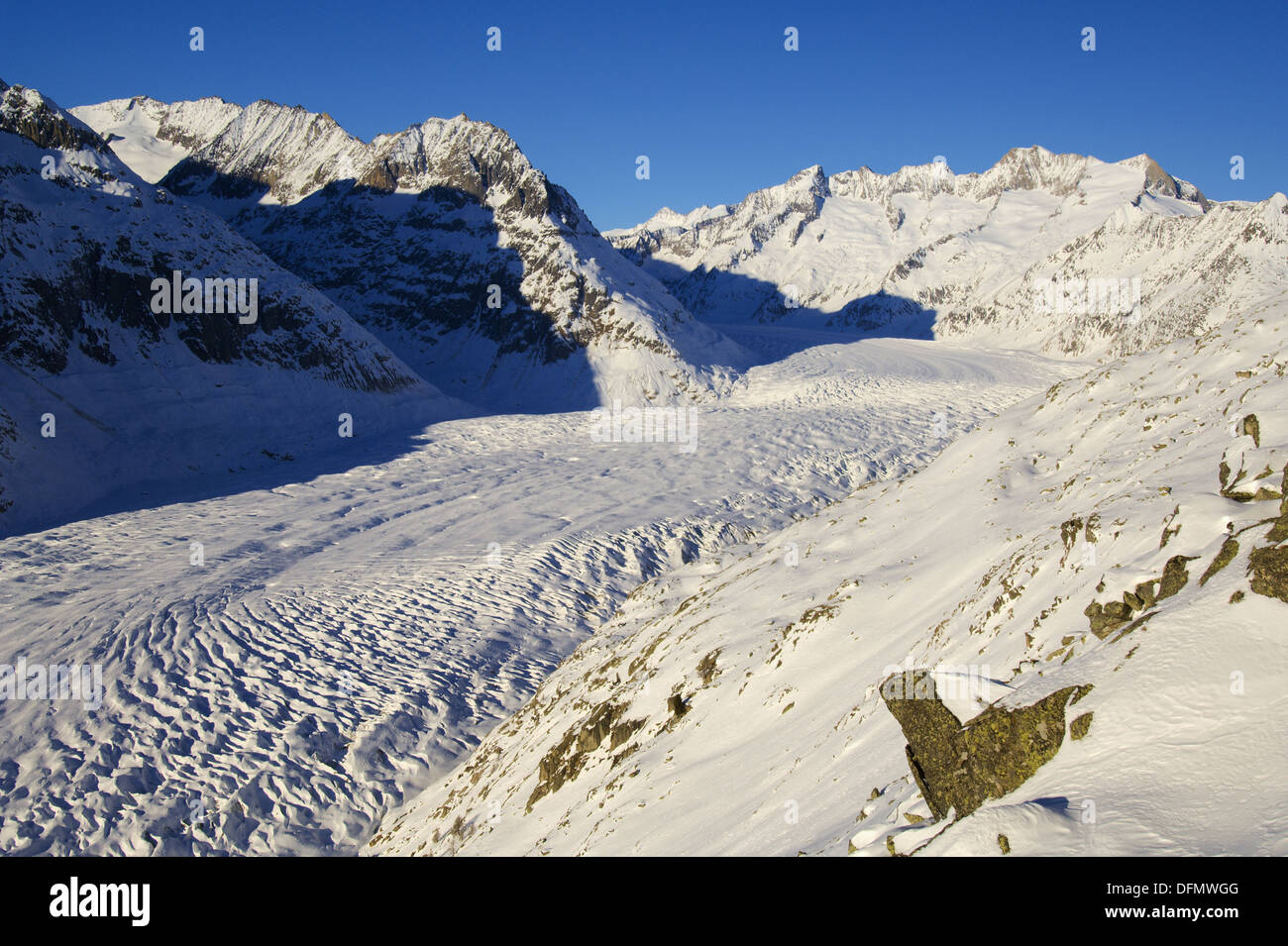 Aletsch, the longest of the Alps, seen from Riederfurka. Riederalp municipality, Raron district, Valais, Switzerland Stock Photo