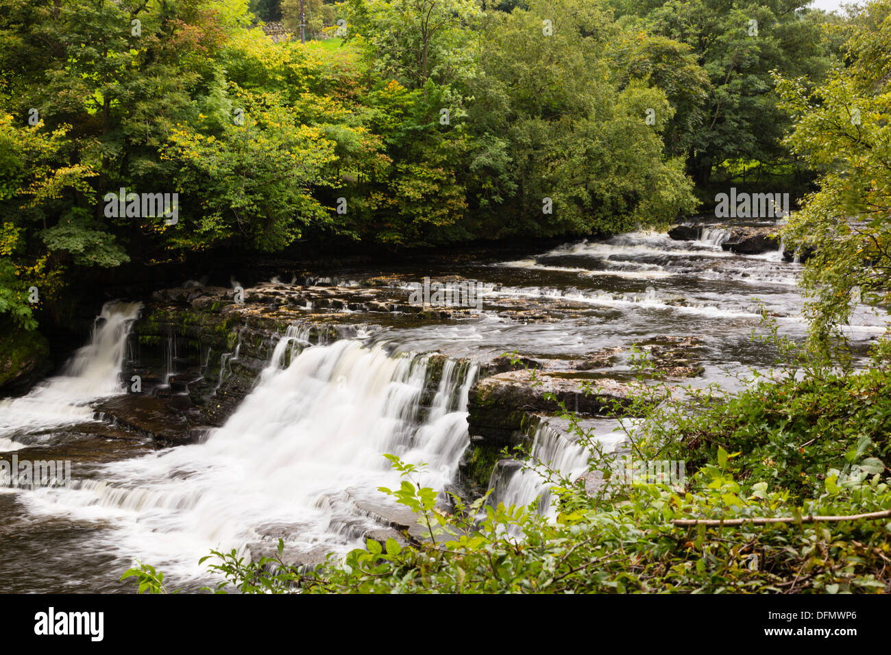 Aysgarth middle falls on the River Ure, North Yorkshire Dales. Stock Photo