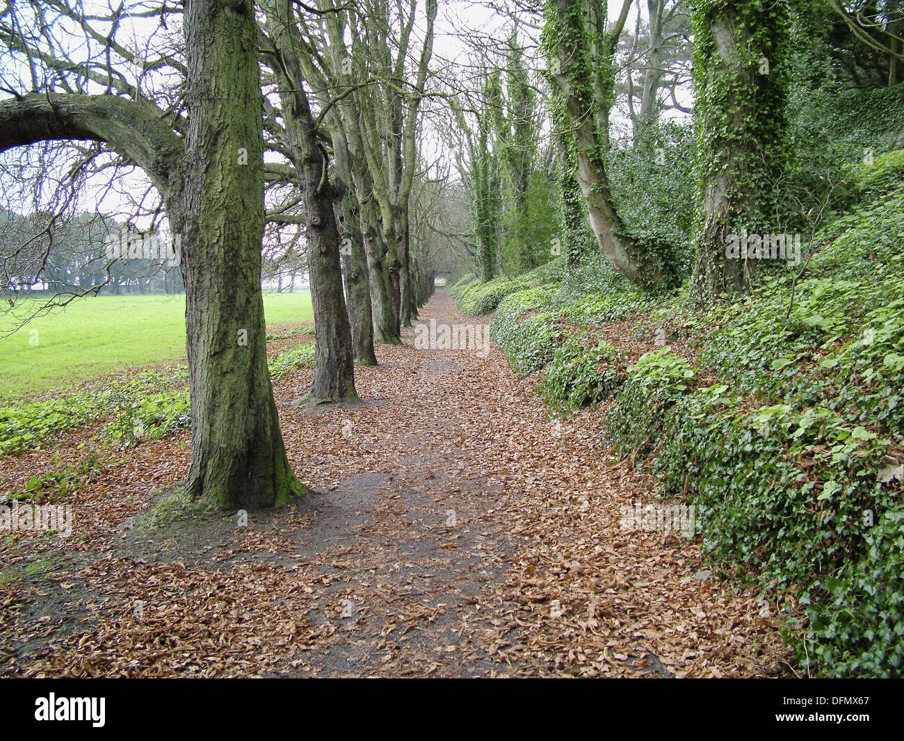 St Annes Park, Dublin, Ireland Stock Photo Alamy