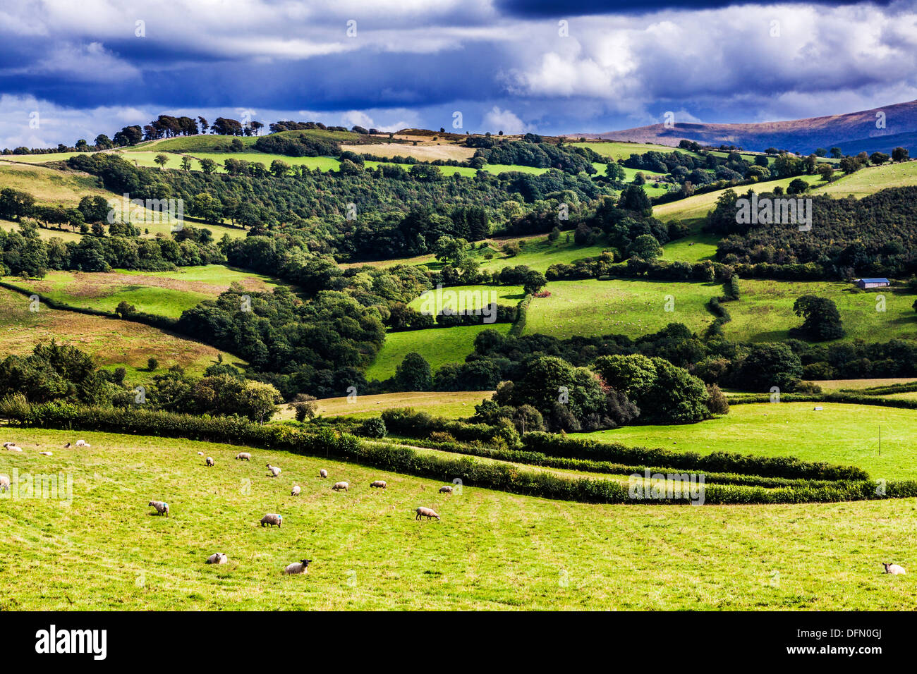 A stormy, showery summer's day in the Brecon Beacons National Park, Wales. Stock Photo