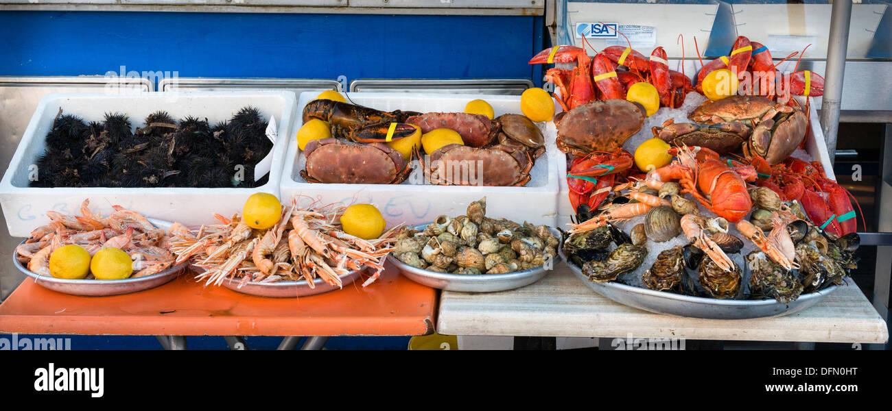 Seafood Stock Photo