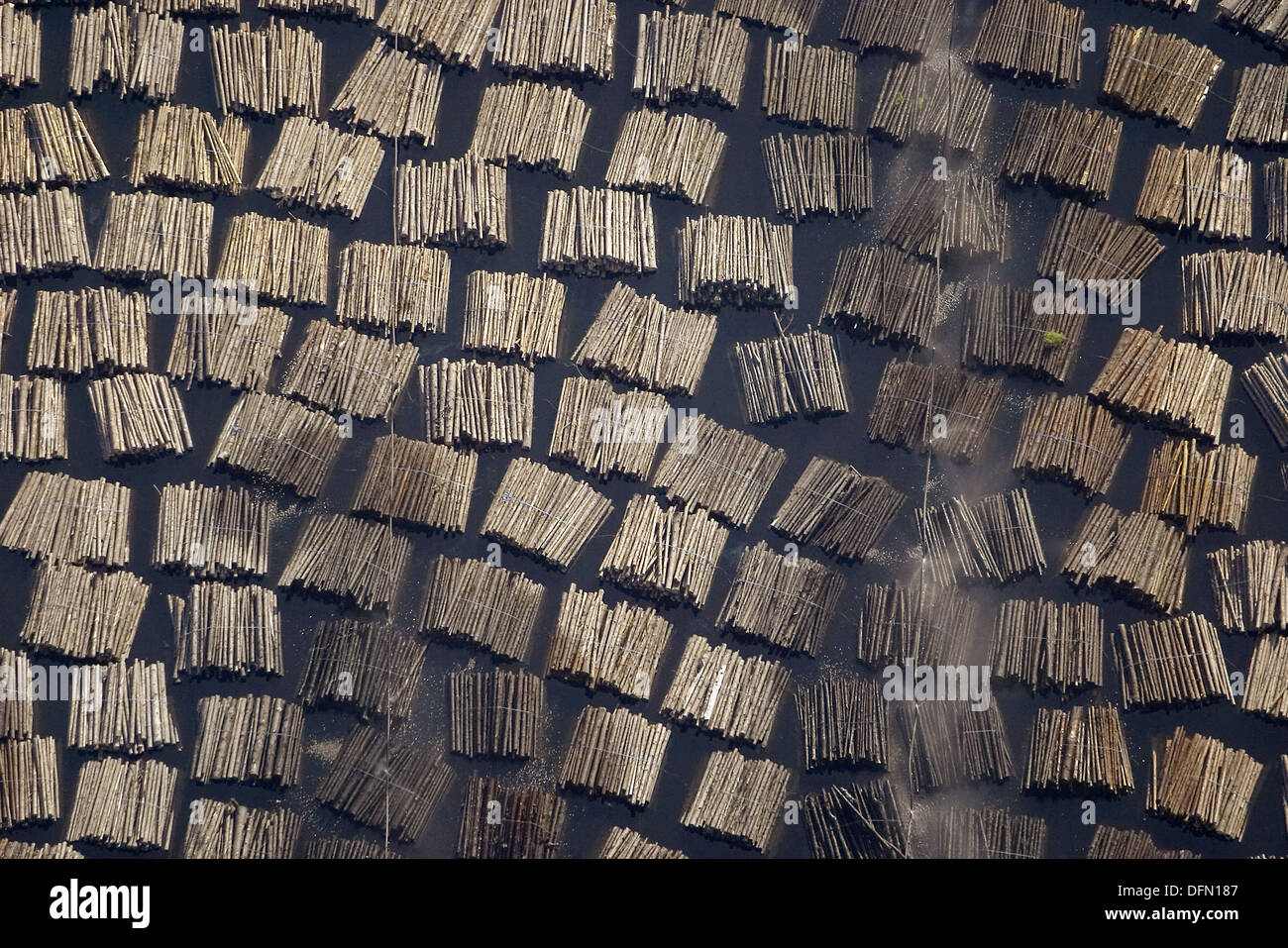 Timber industry, timber in water. Sunne. Värmland. Sweden Stock Photo