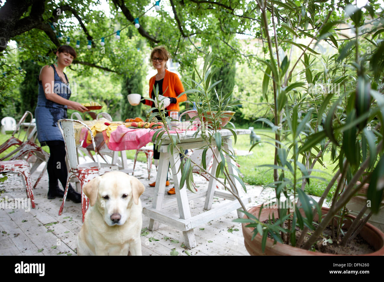 Women setting up the breakfast table in the garden, B and B Chambre Avec Vue, Luberon, France Stock Photo