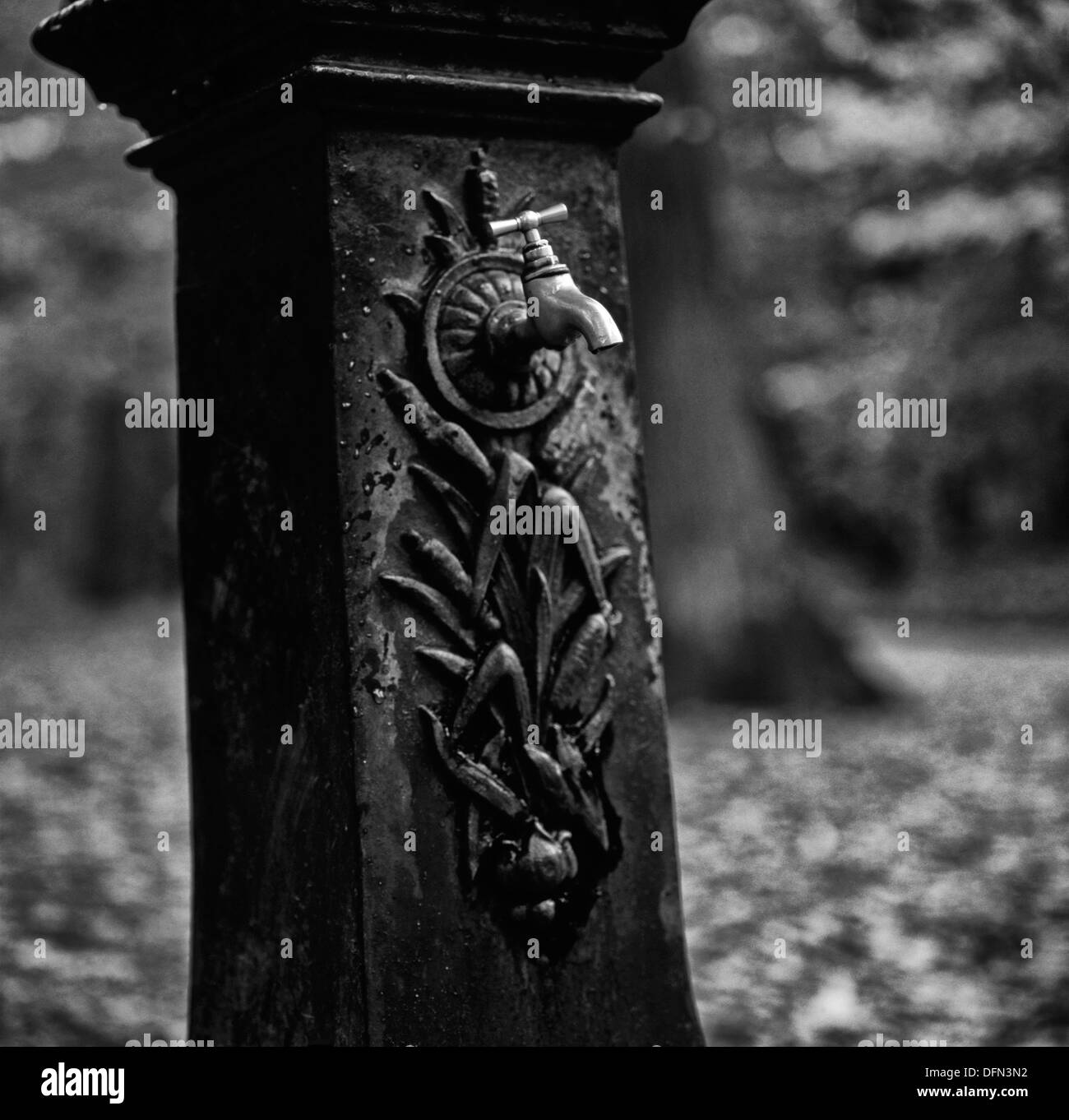 Bois de Boulogne drinking water tap, Paris Stock Photo Alamy
