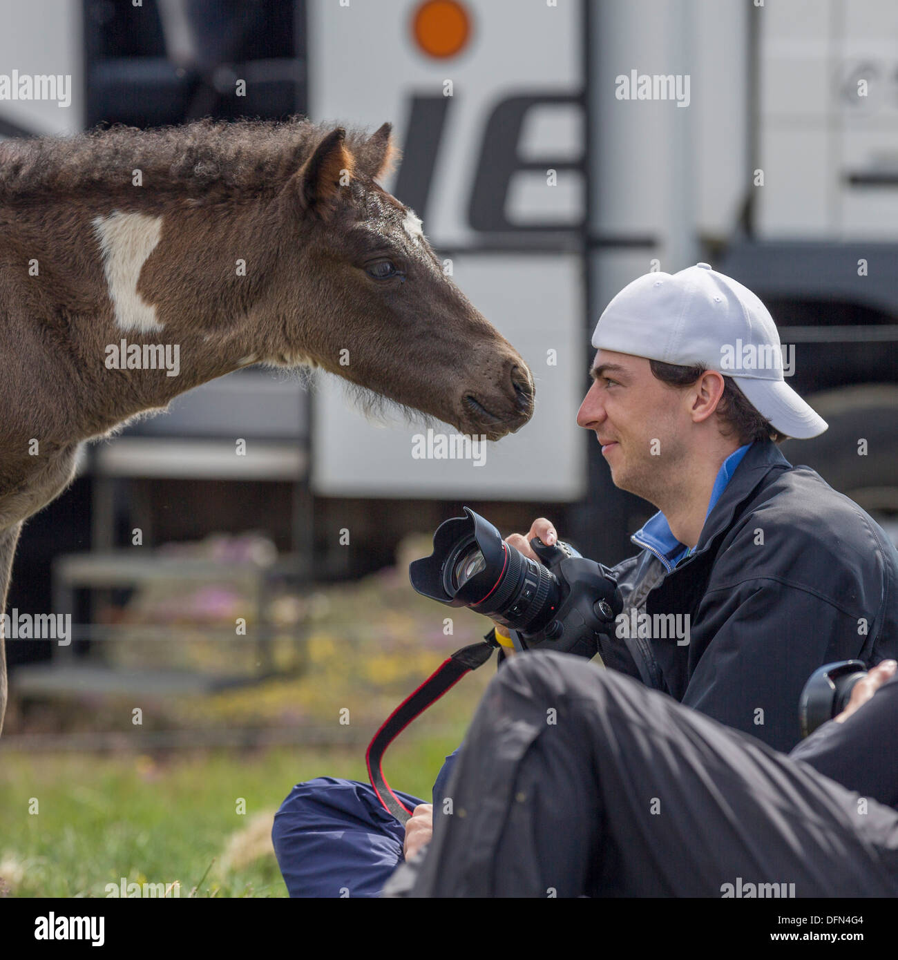 Photographer with young foal, Iceland Icelandic purebred foal, Iceland Stock Photo