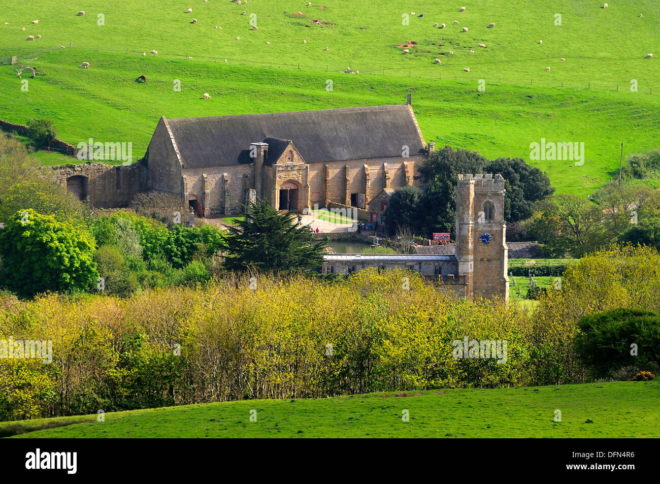 Abbotsbury tithe barn and church. Dorset, UK Stock Photo