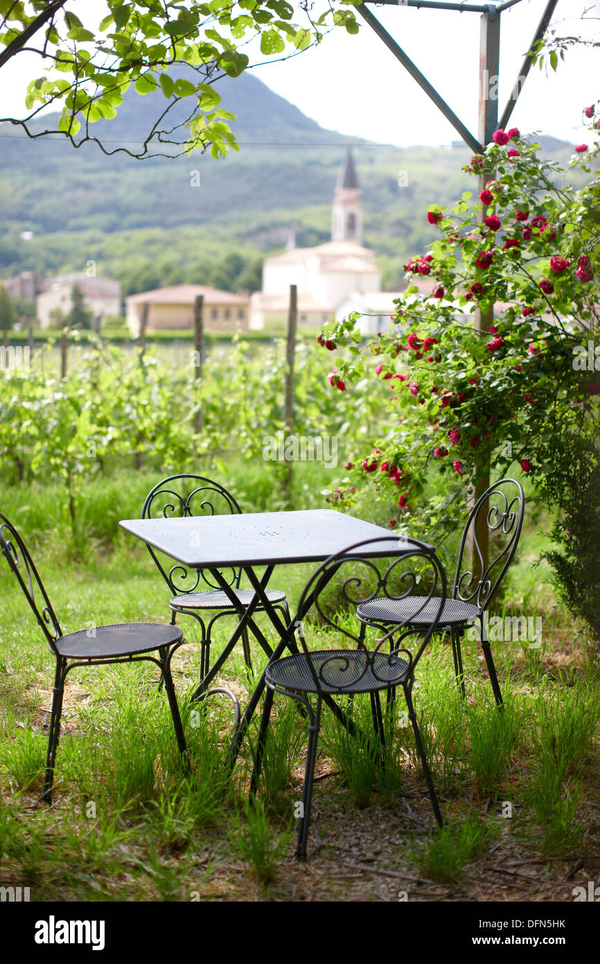Seating area in the garden with hanging roses, Agriturismo and vineyard Ca' Orologio, Venetia, Italy Stock Photo
