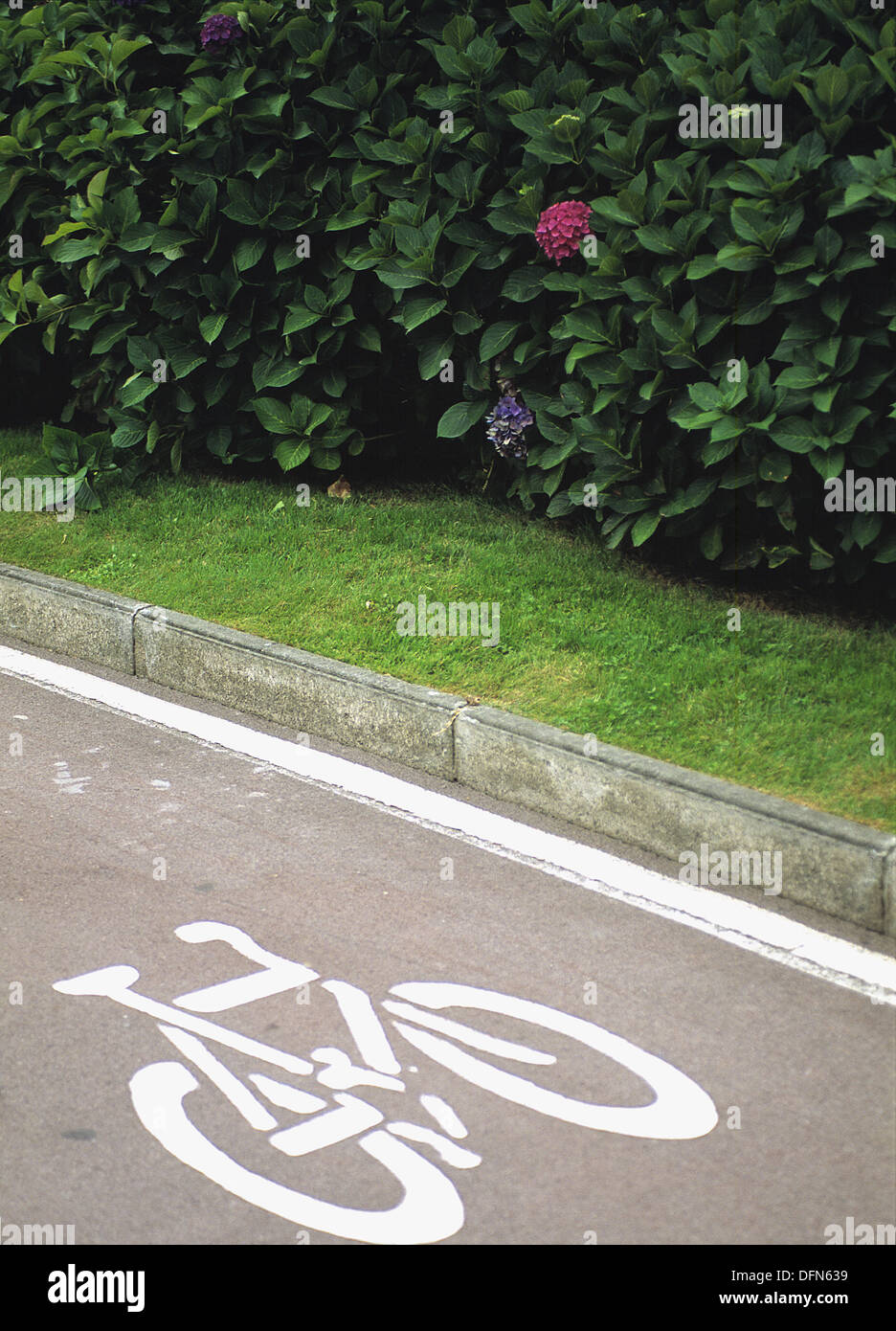 Bicycle lane and grass Stock Photo Alamy