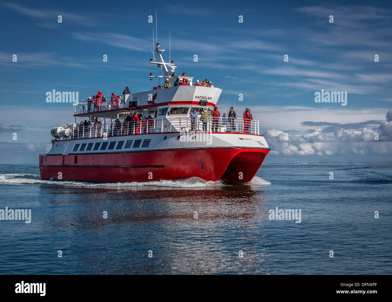 Whale Watching a short distance from Reykjavik, Iceland Stock Photo