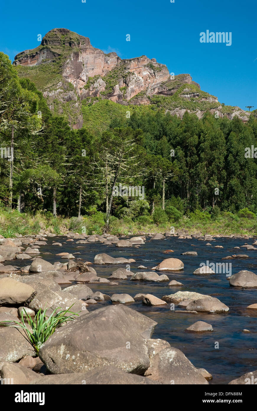 River flowing through a landscape with trees under a clear blue sky ...