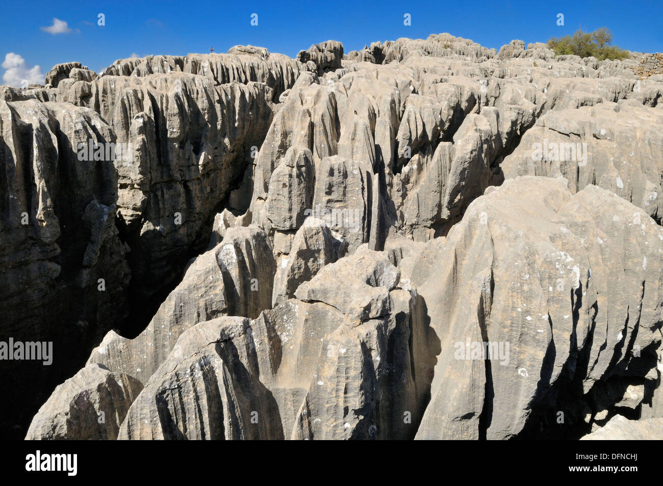 geology, eroded limestone, karst formation at Qalaat Faqra, Lebanon