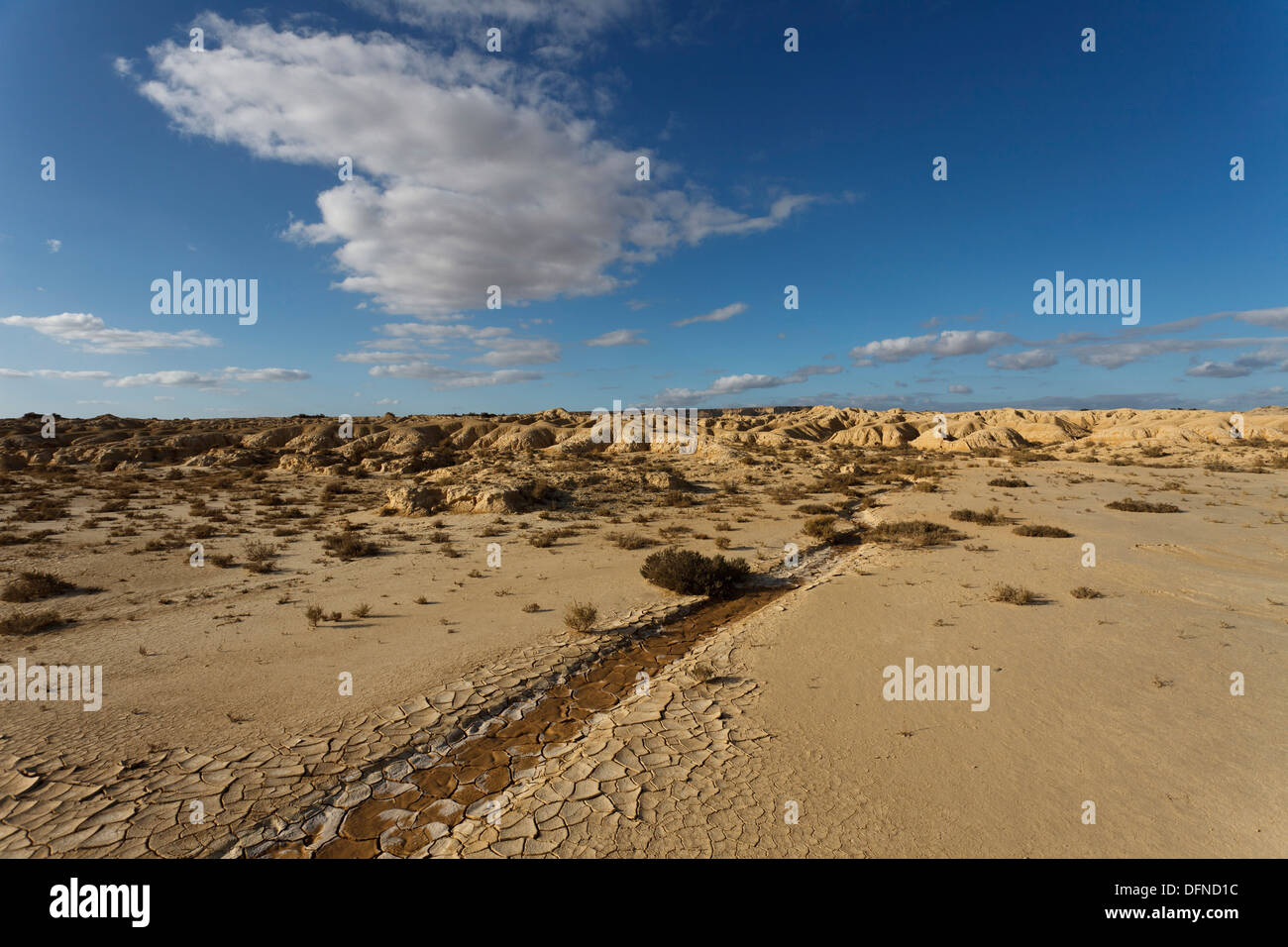 The desert Bardenas Reales, UNESCO Biosphere Reserve, province of Navarra, Northern Spain, Spain, Europe Stock Photo