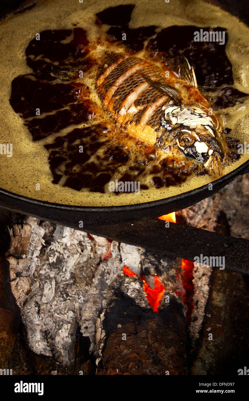 Fish dish. Tabasco, Mexico Stock Photo Alamy