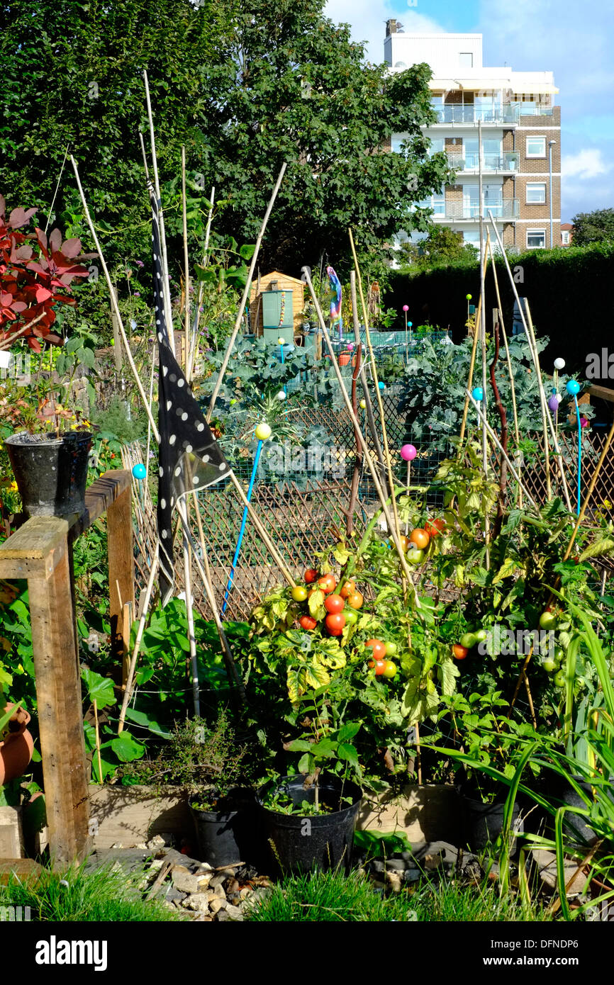 Community garden hi-res stock photography and images - Alamy