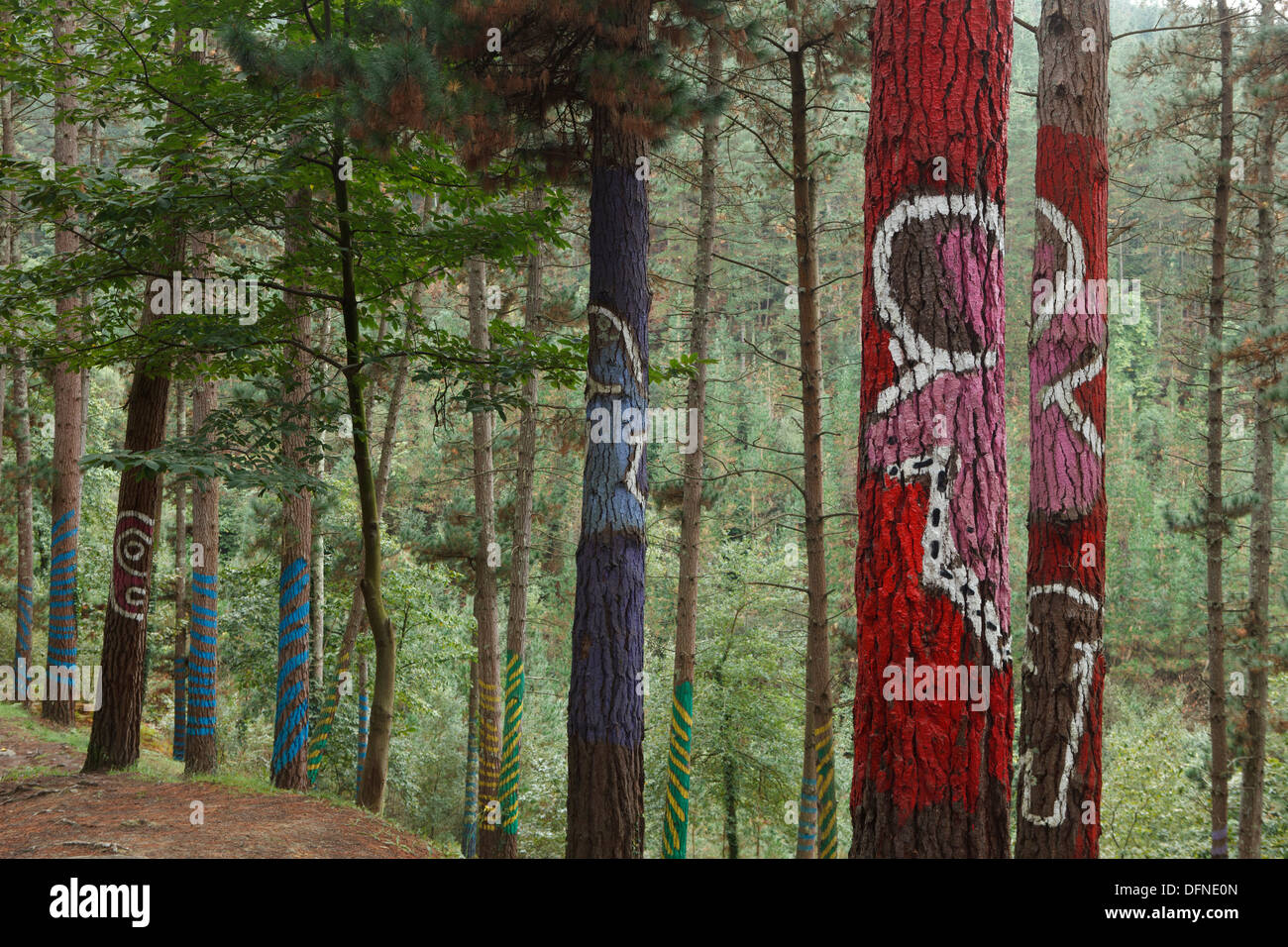 Painted trunks of trees, El bosque pintado de Oma, El bosque animado de Oma, Hay mas ninos de los que parece, There are more chi Stock Photo