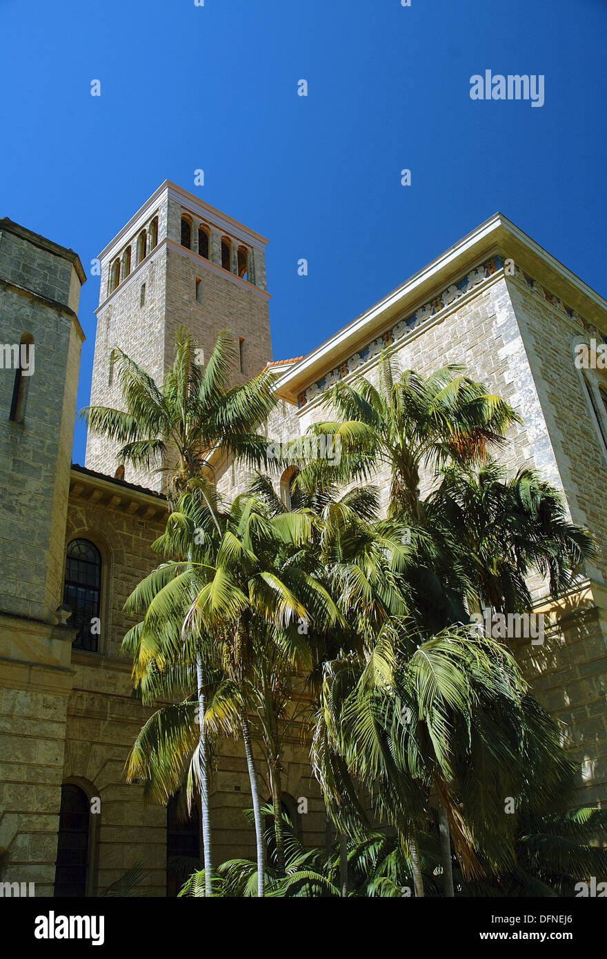 Palm trees and tower on campus of the University of Western Australia