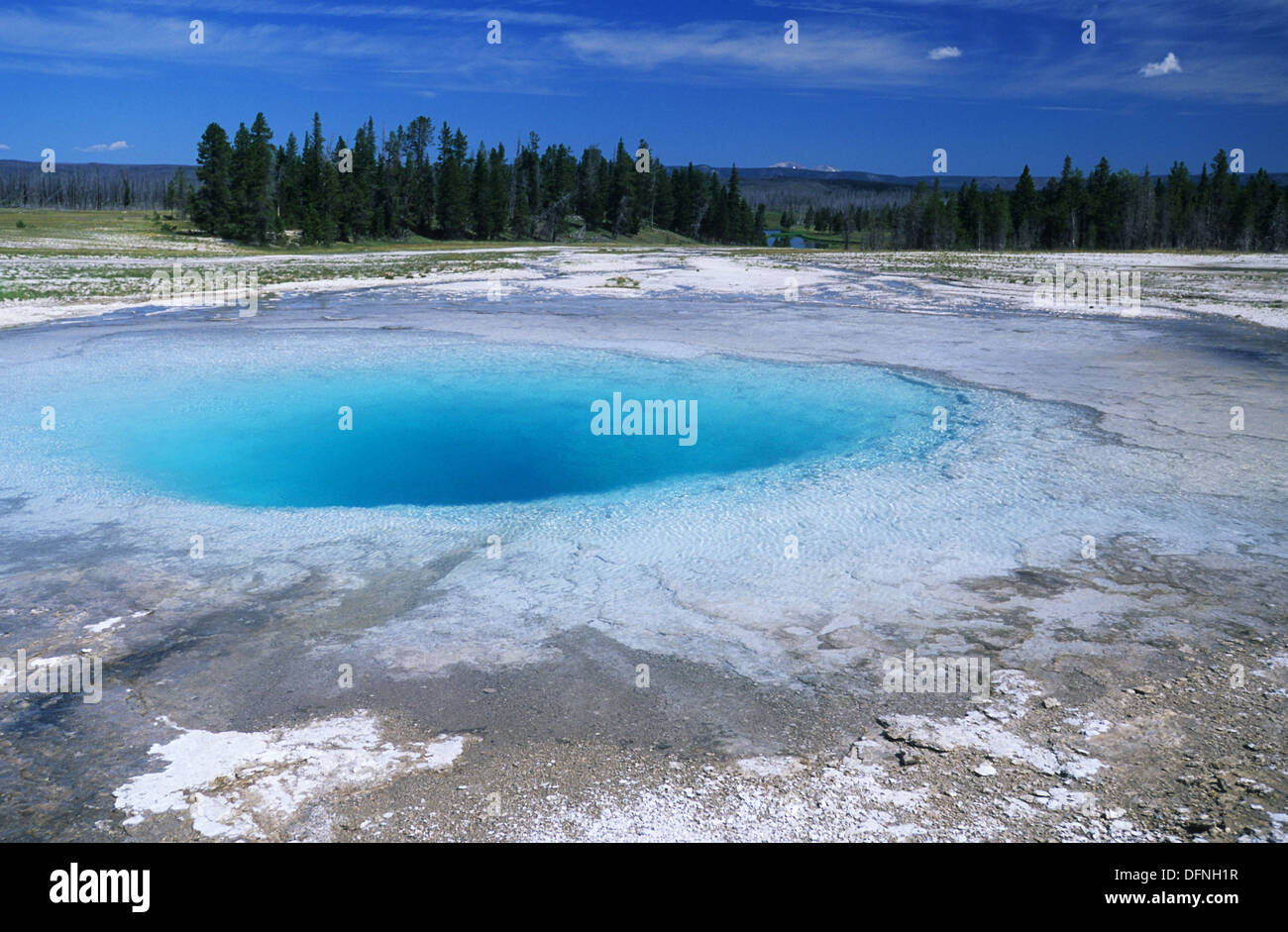 Elk265-1578 Wyoming, Yellowstone National Park, Midway Basin, Opal Pool Stock Photo