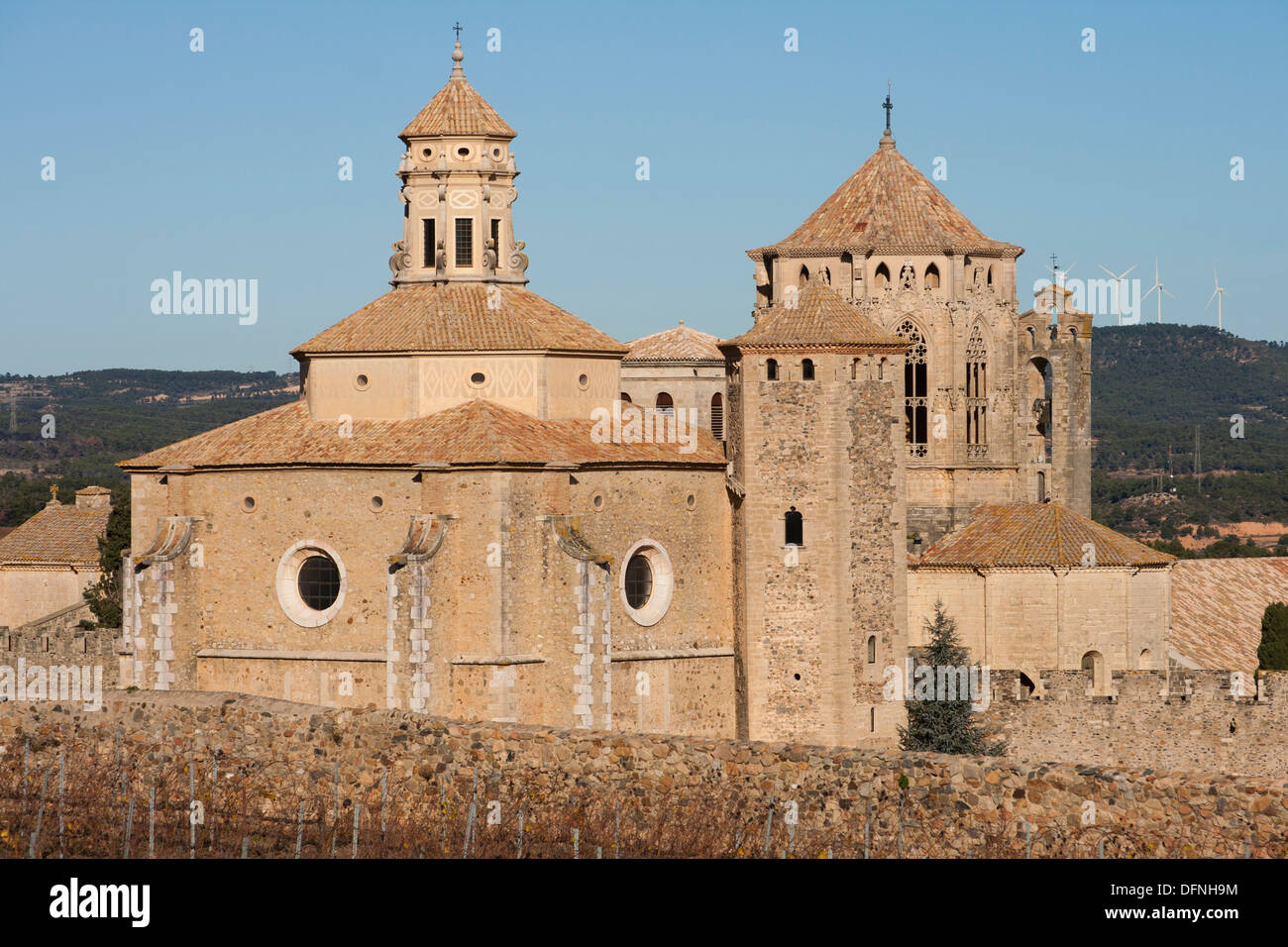 Santa Maria de Poblet Cistercian monastery, Vimbodi i Poblet, Conca de Barbera, Tarragona province, Catalonia, Spain Stock Photo