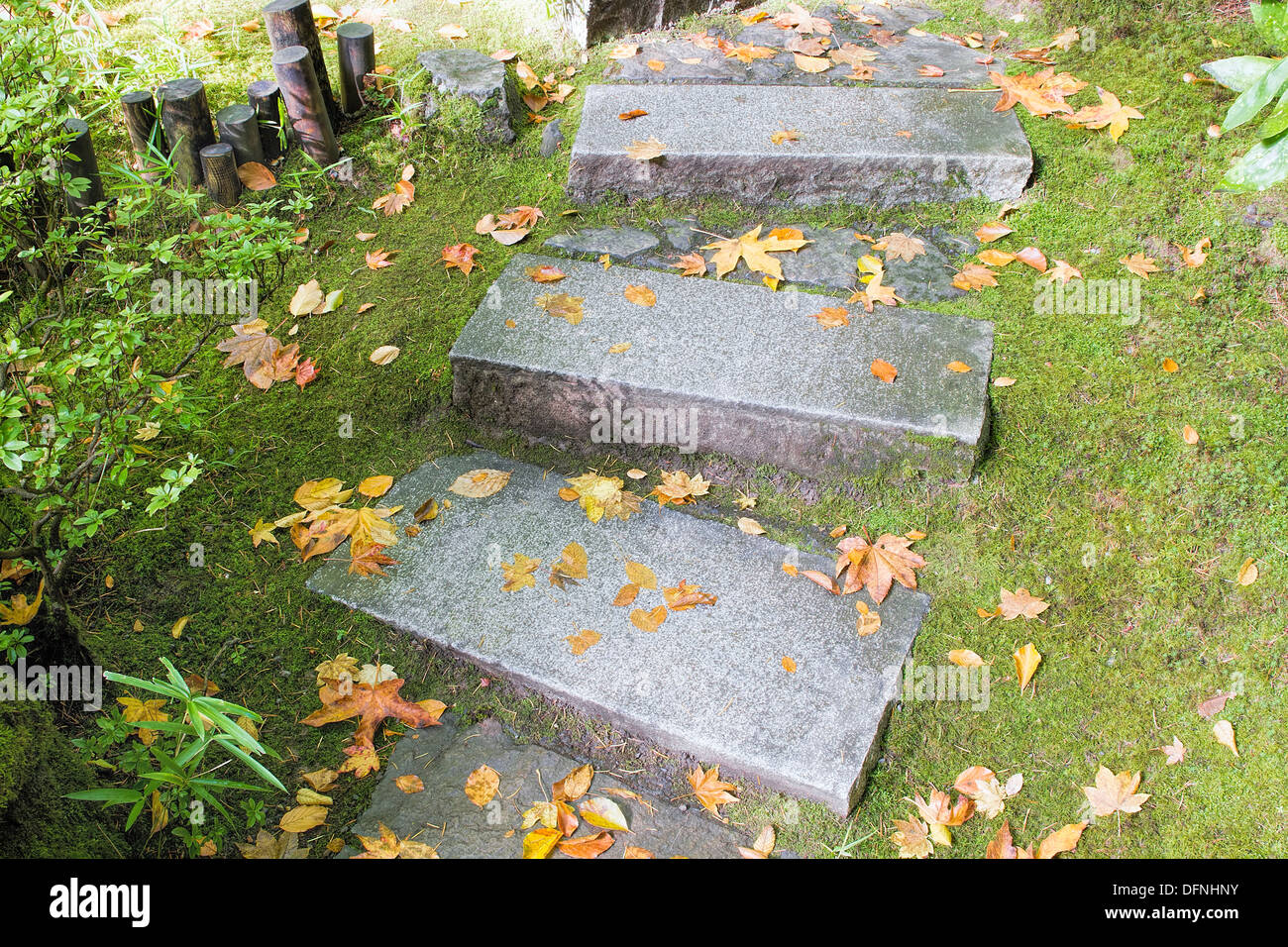 Asian Inspired Garden Granite Slabs Stone Steps with Moss and Fall Leaves Stock Photo