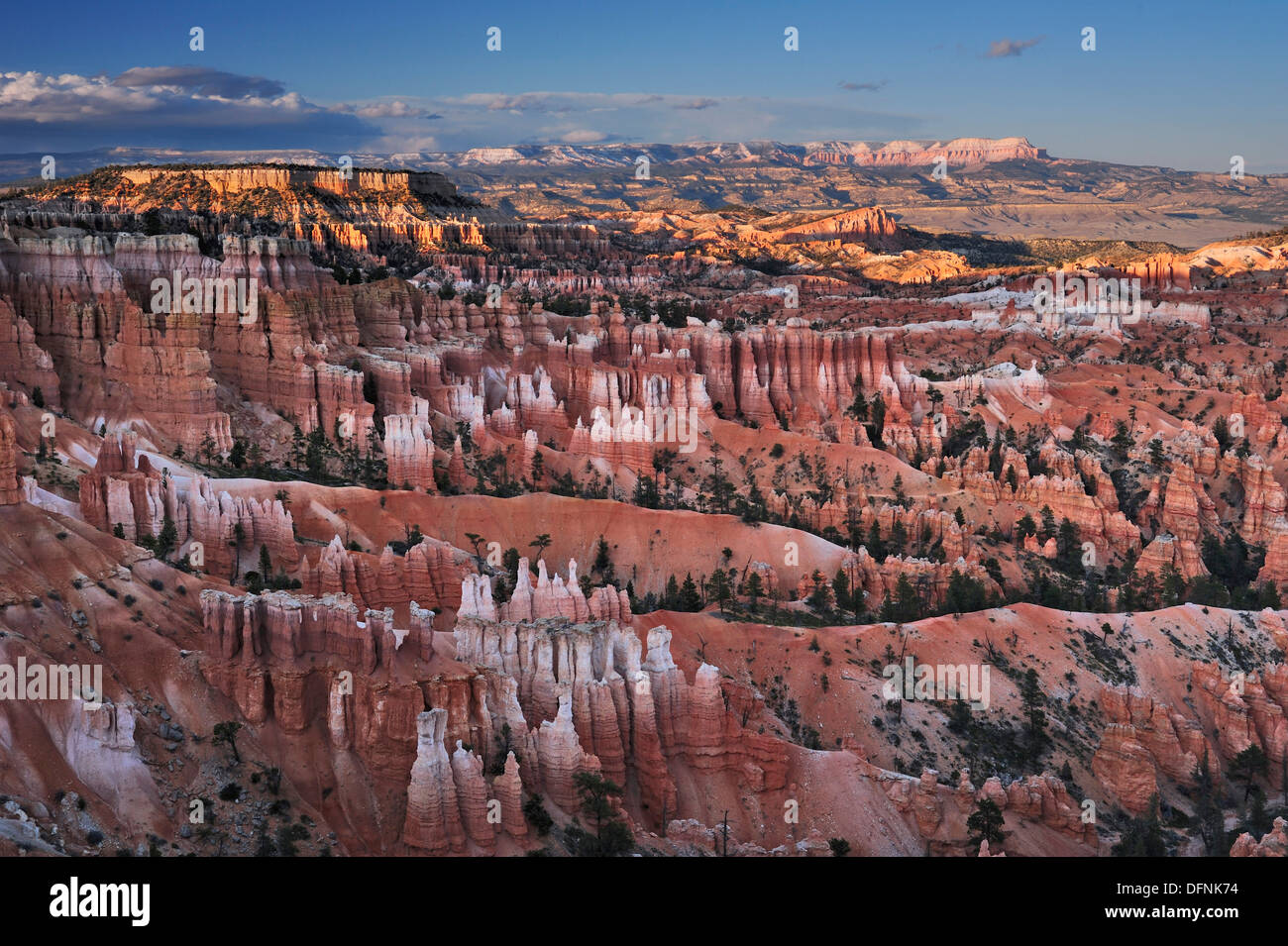 Rock spires in Bryce Canyon, Bryce Canyon National Park, Utah, Southwest, USA, America Stock Photo