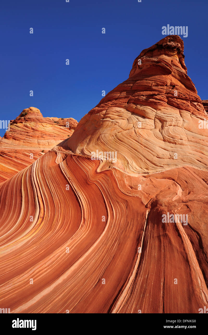 Red sandstone formation under blue sky, The Wave, Coyote Buttes, Paria Canyon, Vermilion Cliffs National Monument, Arizona, Sout Stock Photo