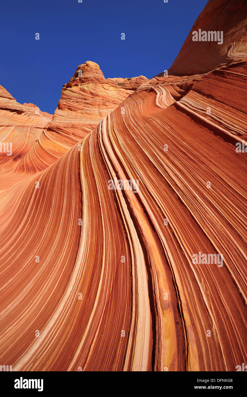 Red sandstone formation under blue sky, The Wave, Coyote Buttes, Paria Canyon, Vermilion Cliffs National Monument, Arizona, Sout Stock Photo
