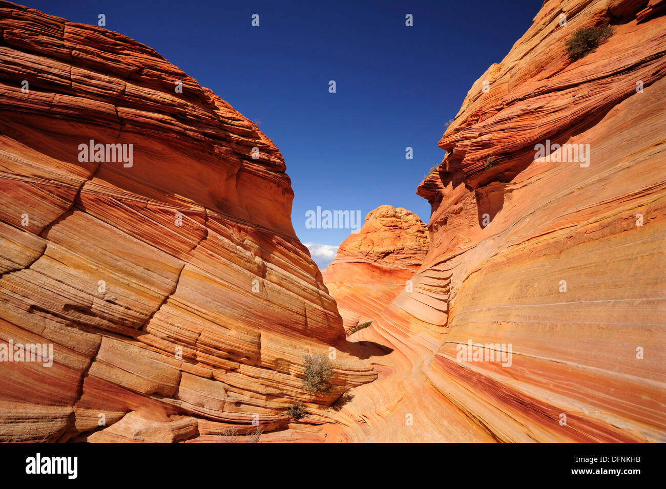 Red sandstone formation, Coyote Buttes, Paria Canyon, Vermilion Cliffs National Monument, Arizona, Southwest, USA, America Stock Photo