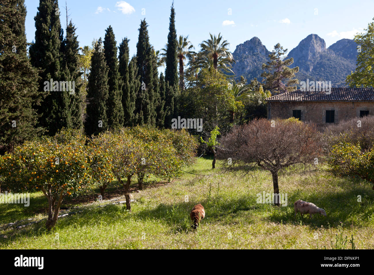 Country house with park and garden, Jardines de Alfabia, Tramantura, Bunyola, Mallorca, Spain Stock Photo