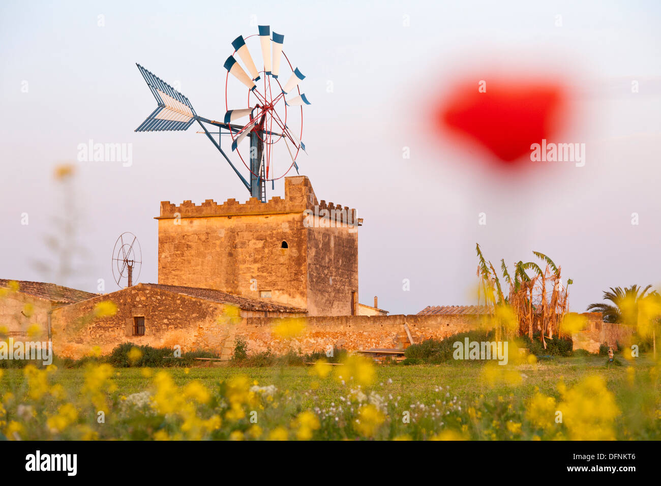 Wind mill, symbol of Mallorca, Es Pla, near Palma de Mallorca, Spain Stock Photo