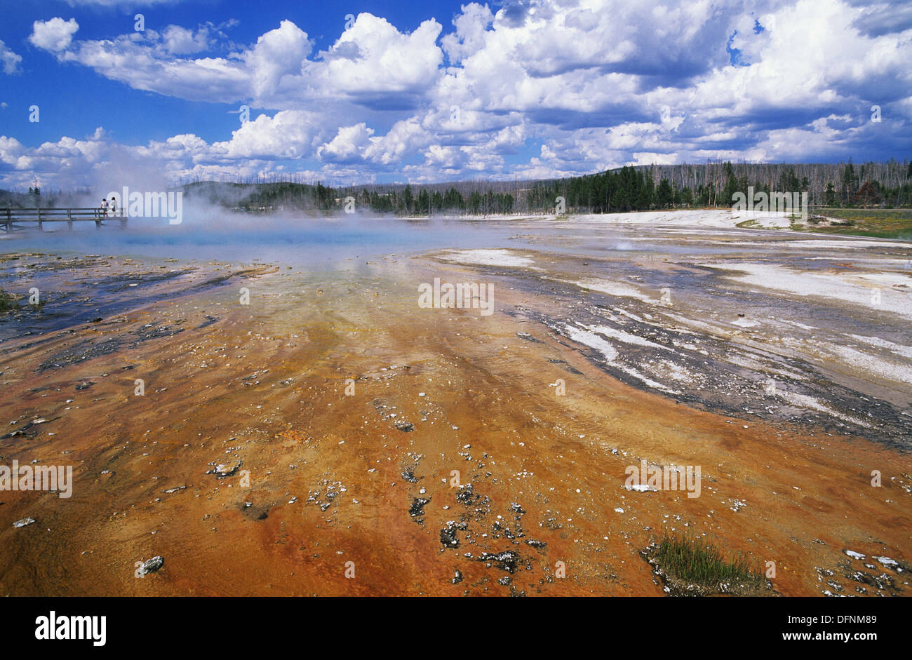 Elk265-1489 Wyoming, Yellowstone National Park, Black Sand Basin, Rainbow Pool Stock Photo
