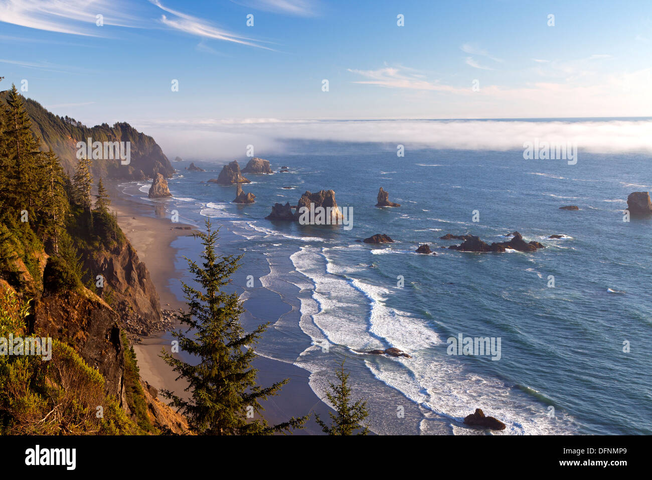 Sea stacks, fog, and surf along the Southern Oregon Coast at Samuel H. Boardman State Park Stock Photo