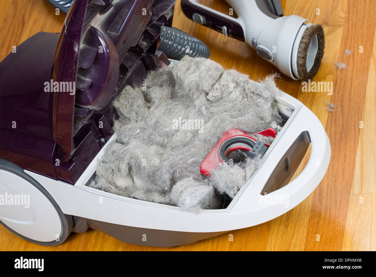 Horizontal photo completely filled dirty vacuum cleaner with hardwood floors and accessories in background Stock Photo