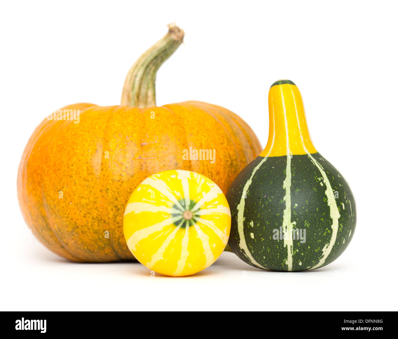 ornamental gourds and pumpkin isolated on white background Stock Photo