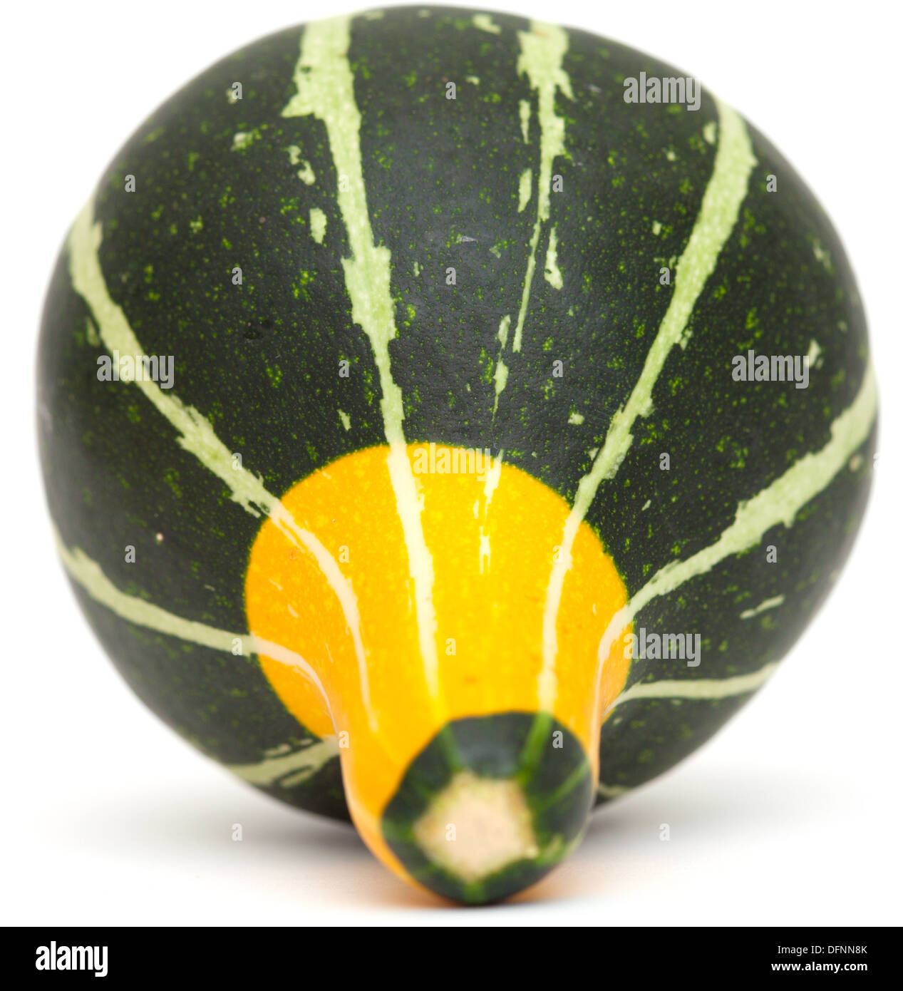 ornamental gourd isolated on white background Stock Photo - Alamy