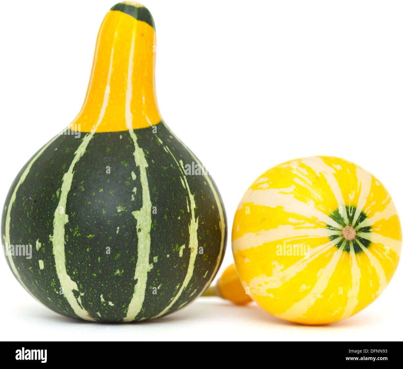 ornamental gourd isolated on white background Stock Photo Alamy